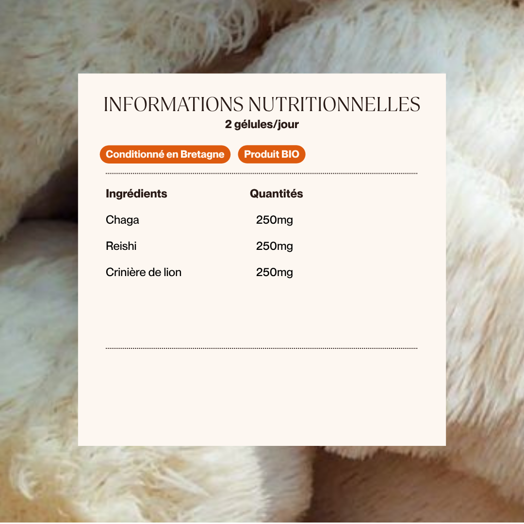 Complexe 3 champignons : Reishi, Chaga, Crinière de lion I 60 gélules
