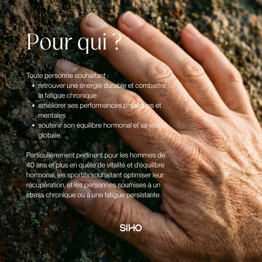 Résine de Shilajit : Pure 100% - 30g - 2 mois