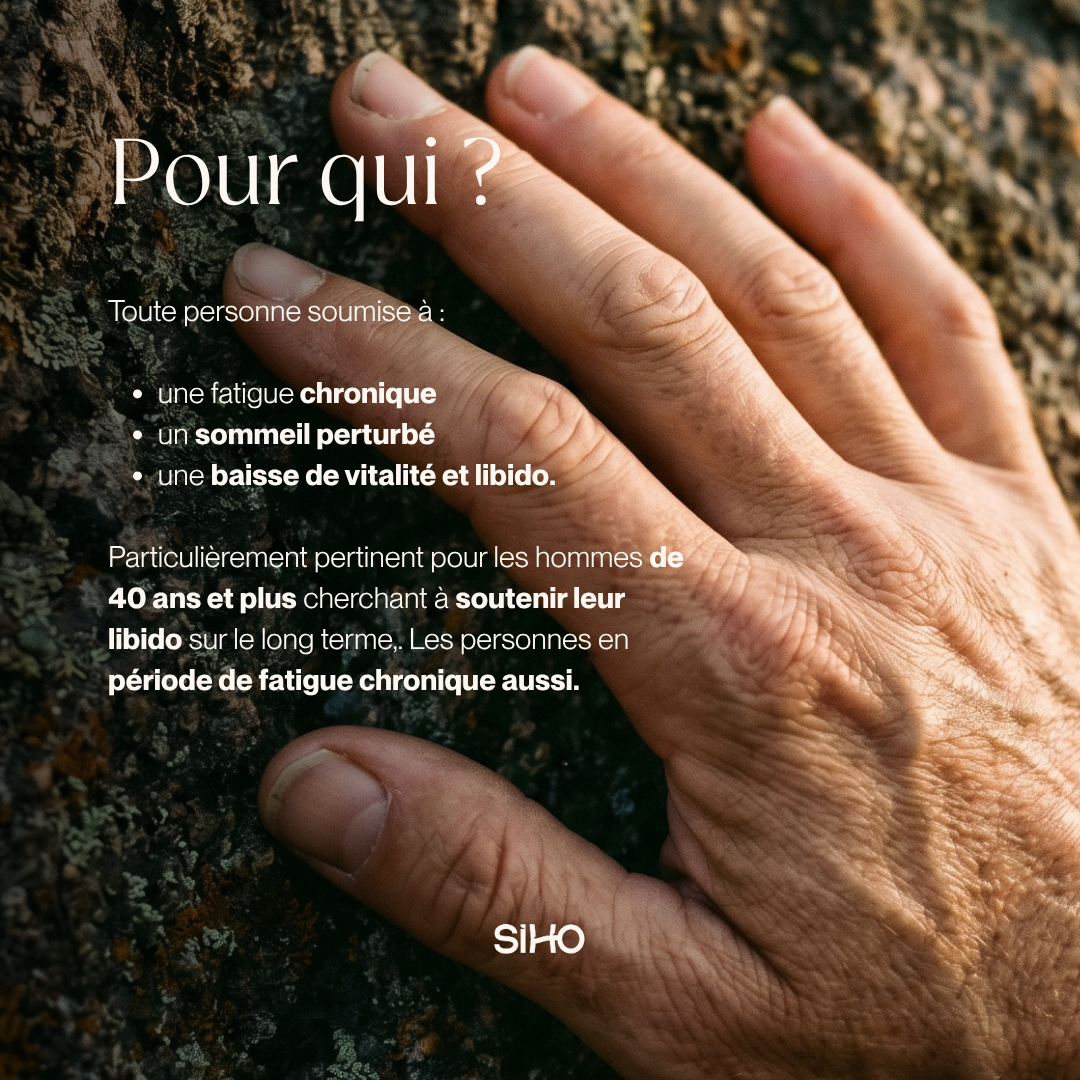 Shilajit Pur en gélules : Pur à 100% - 60 gélules - 1 mois