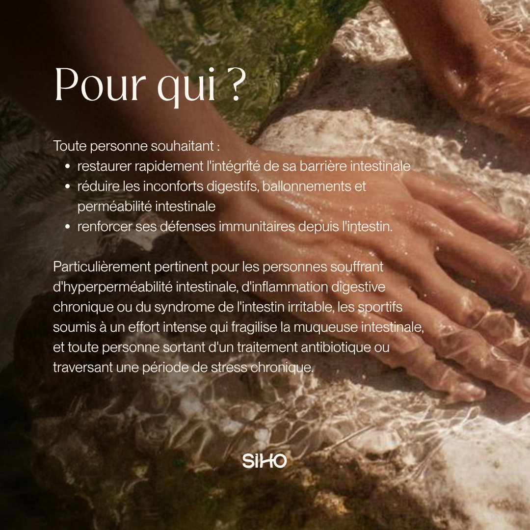 Colostrum bovin français
