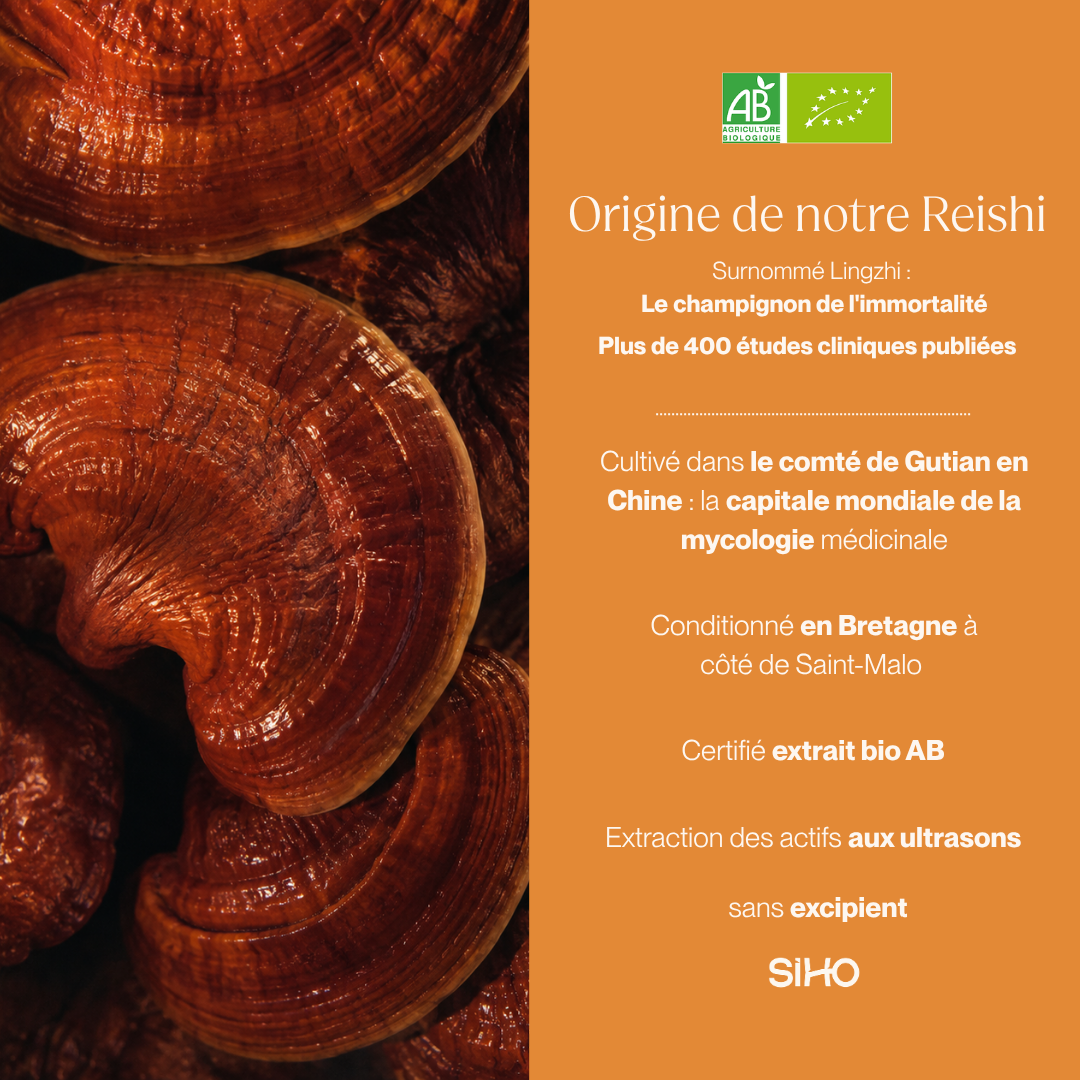 Reishi extrait bio