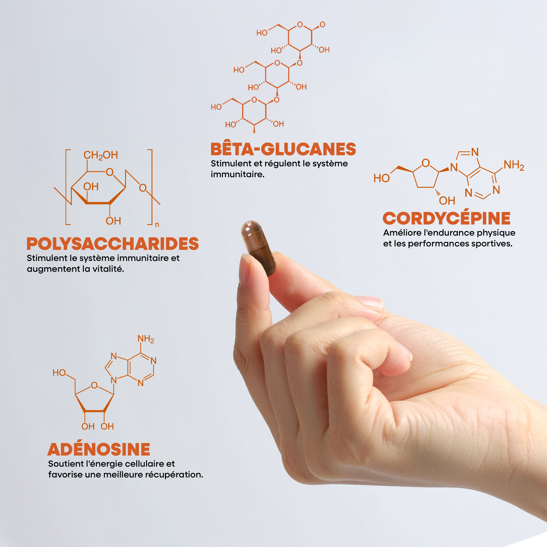Cordyceps Bio Ultra-Concentré