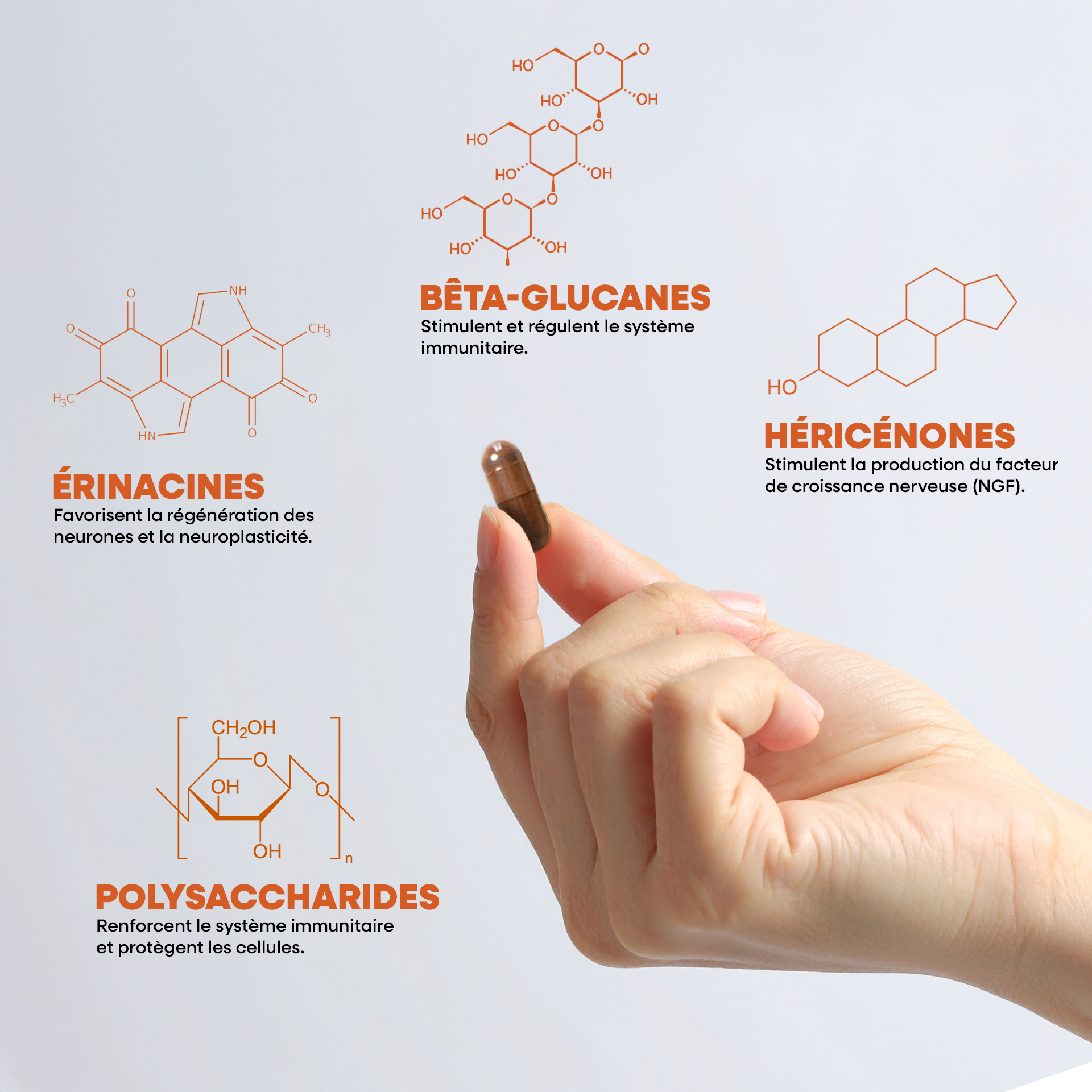 Hericium / Crinière de lion, extrait bio - 60 gélules - 1 mois