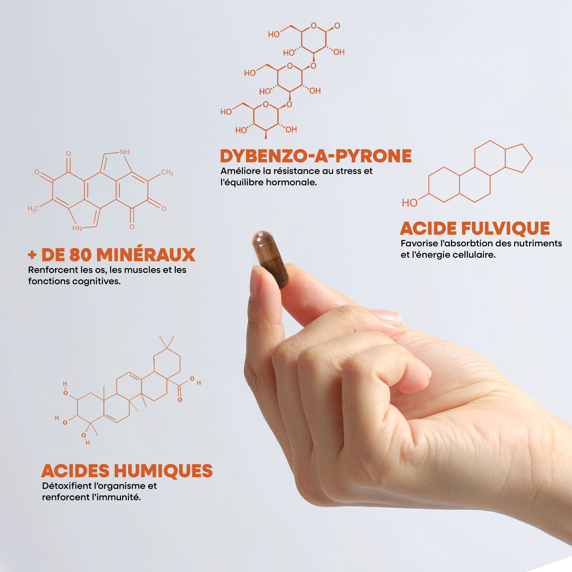 Shilajit Pur en gélules - SIHO