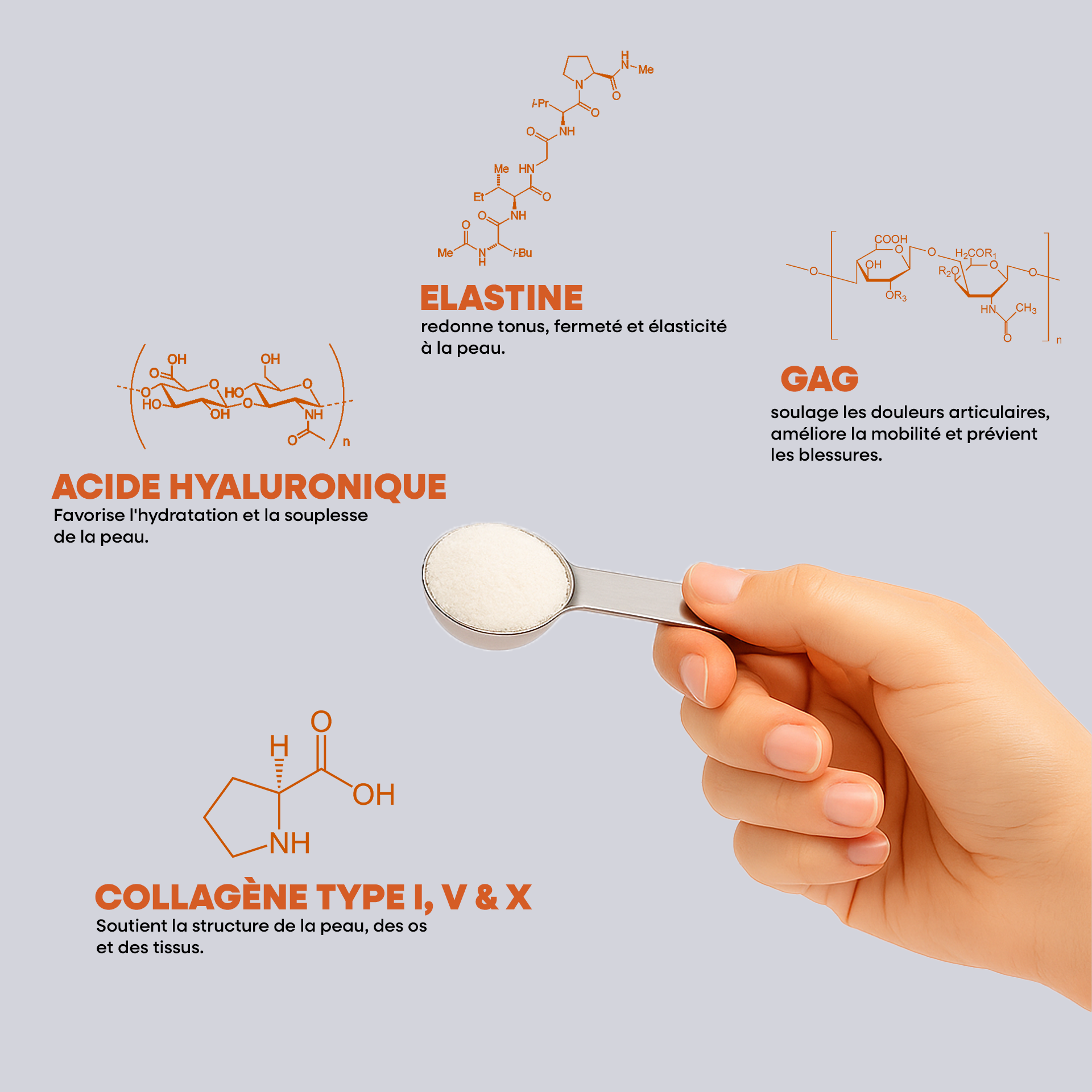 Collagène Végétarien Novolife - Révolutionnaire pour des  Articulations Saines