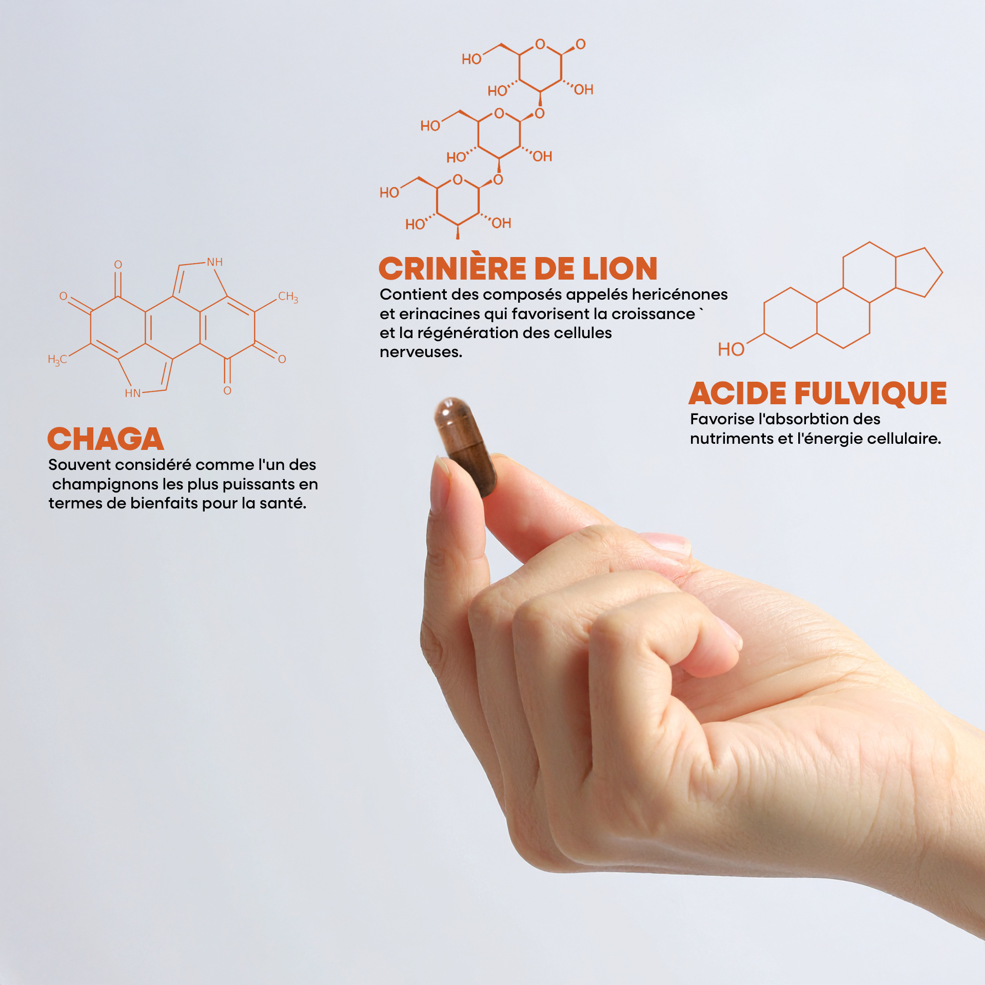 Boostalife, extrait bio de 3 champignons: reishi, chaga et héricium