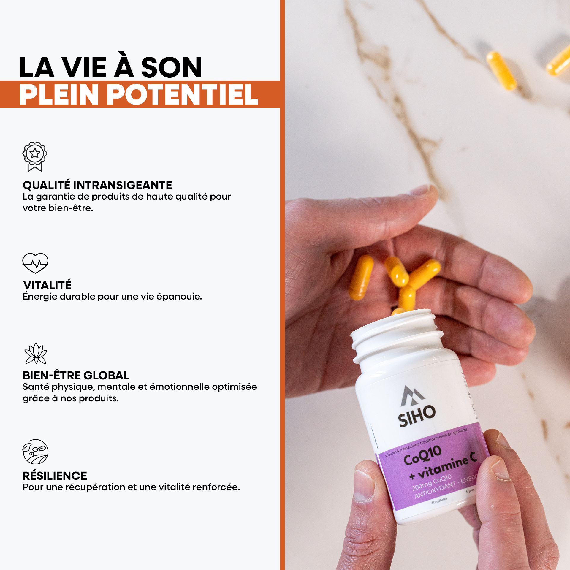 Coenzyme Q10 - CoQ10 - hautement dosée