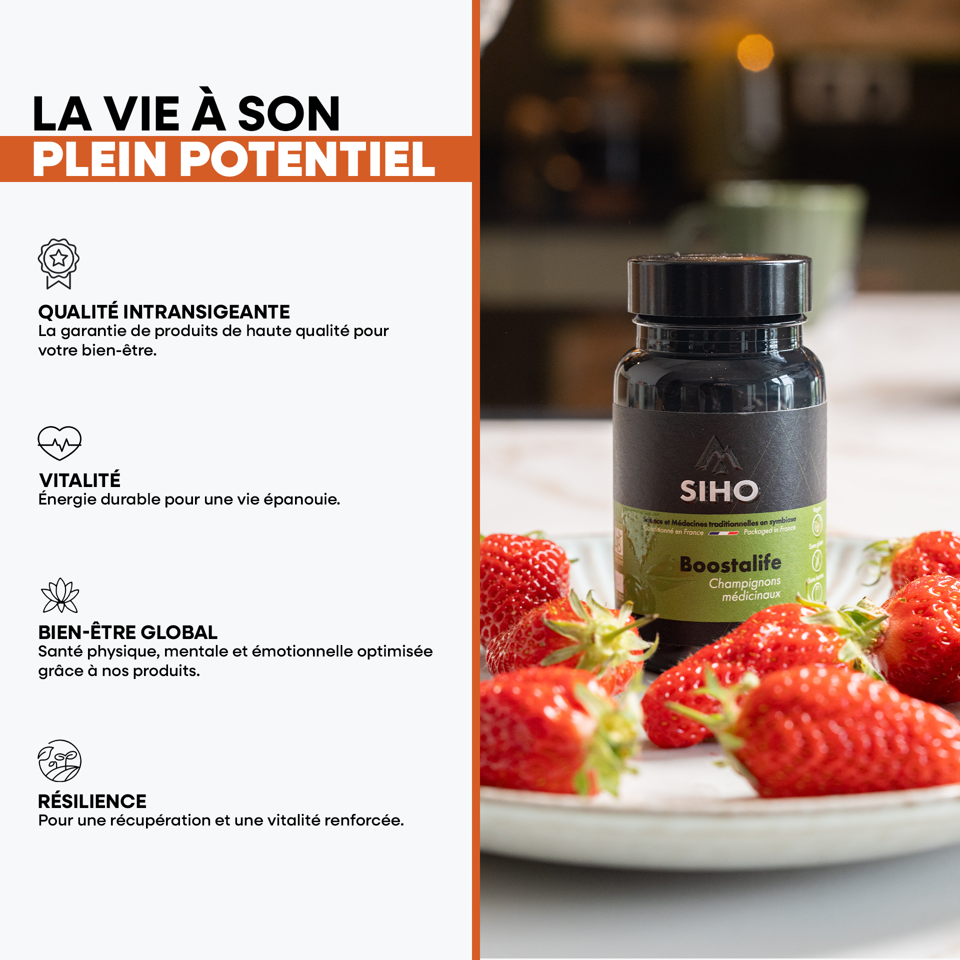 Boostalife, extrait bio de 3 champignons: reishi, chaga et héricium