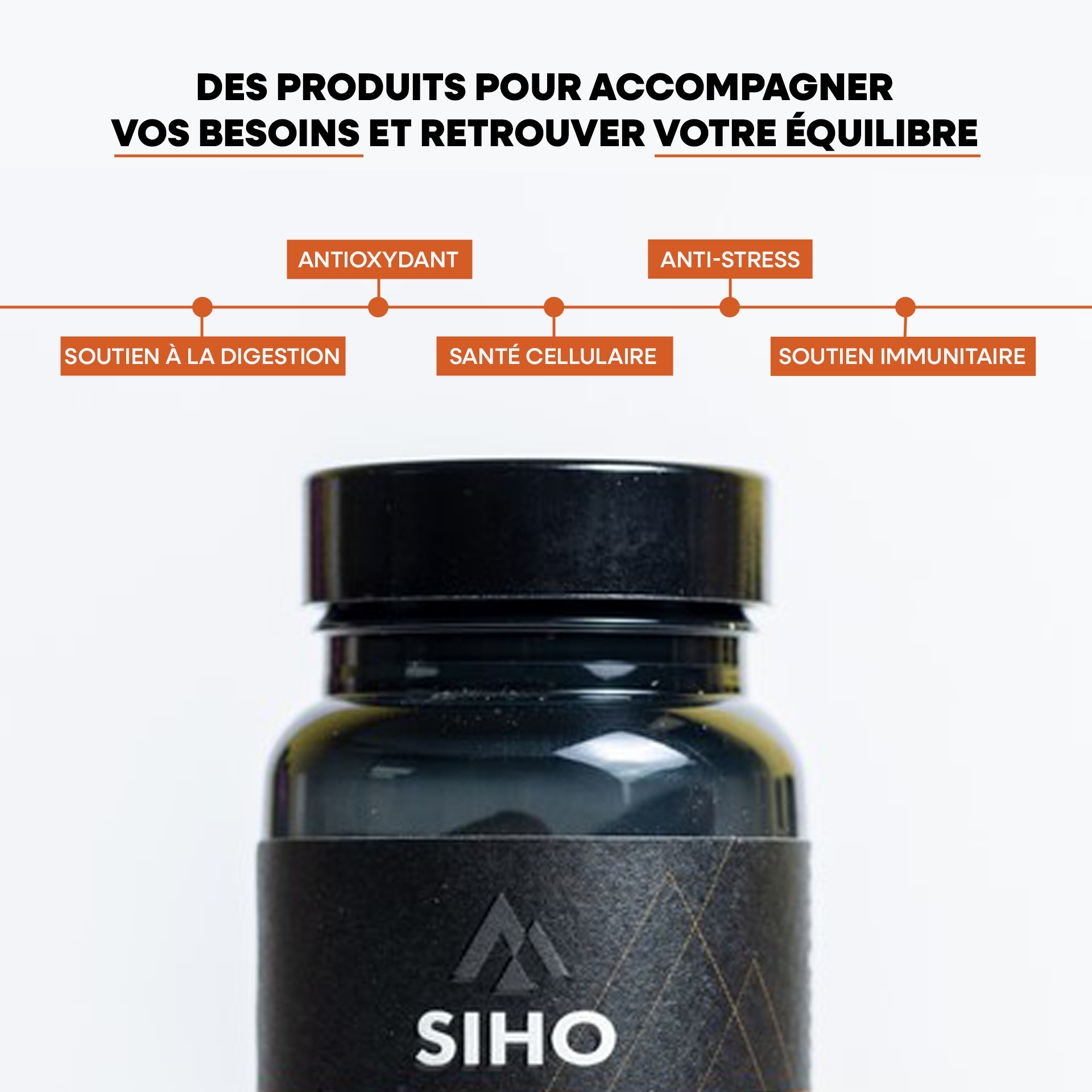 Boostalife, extrait bio de 3 champignons: reishi, chaga et héricium
