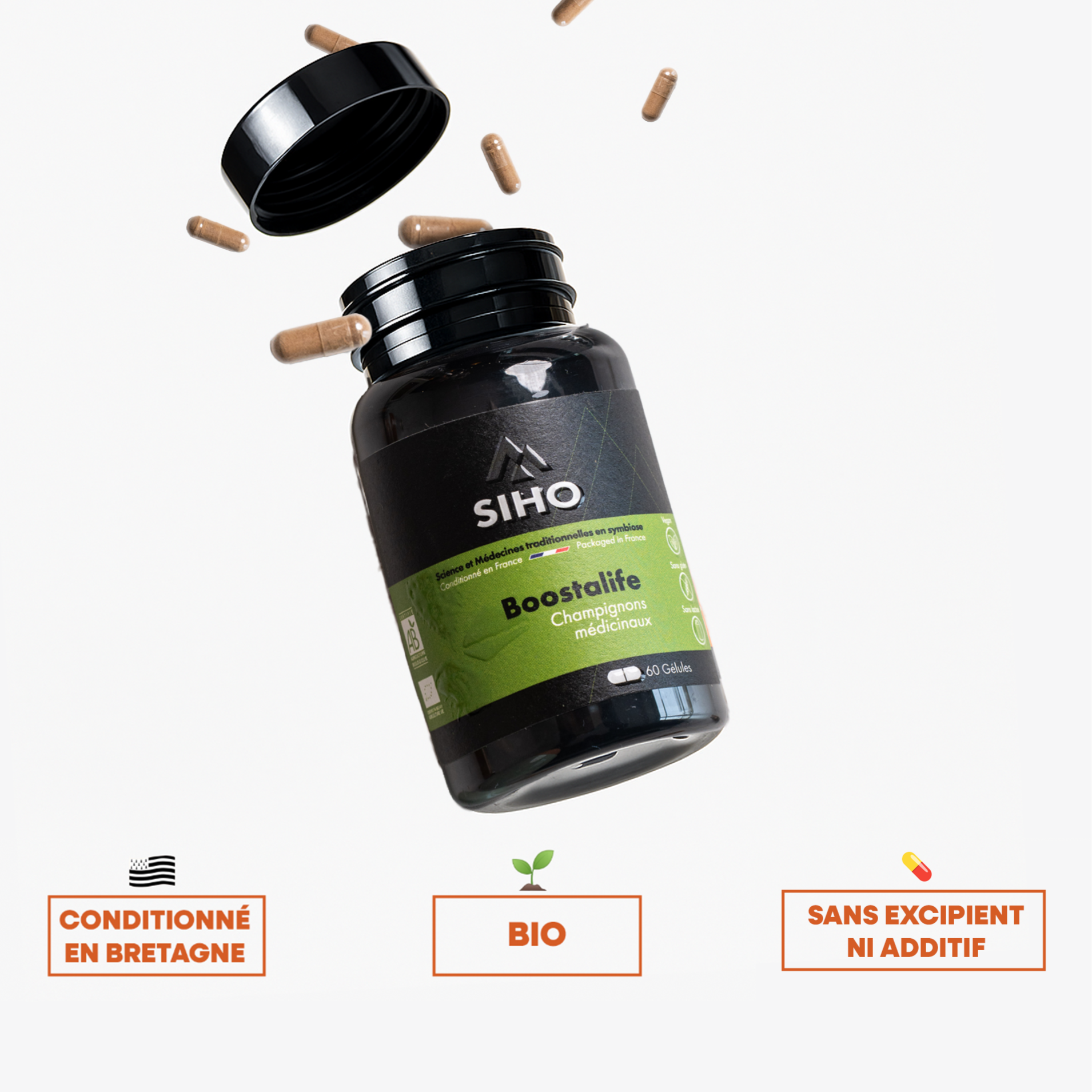 Boostalife, extrait bio de 3 champignons: reishi, chaga et héricium