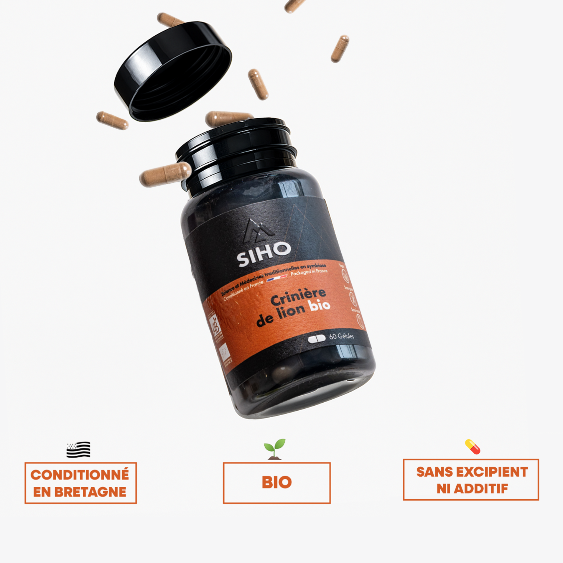 Hericium / Crinière de lion, extrait bio - 60 gélules - 1 mois