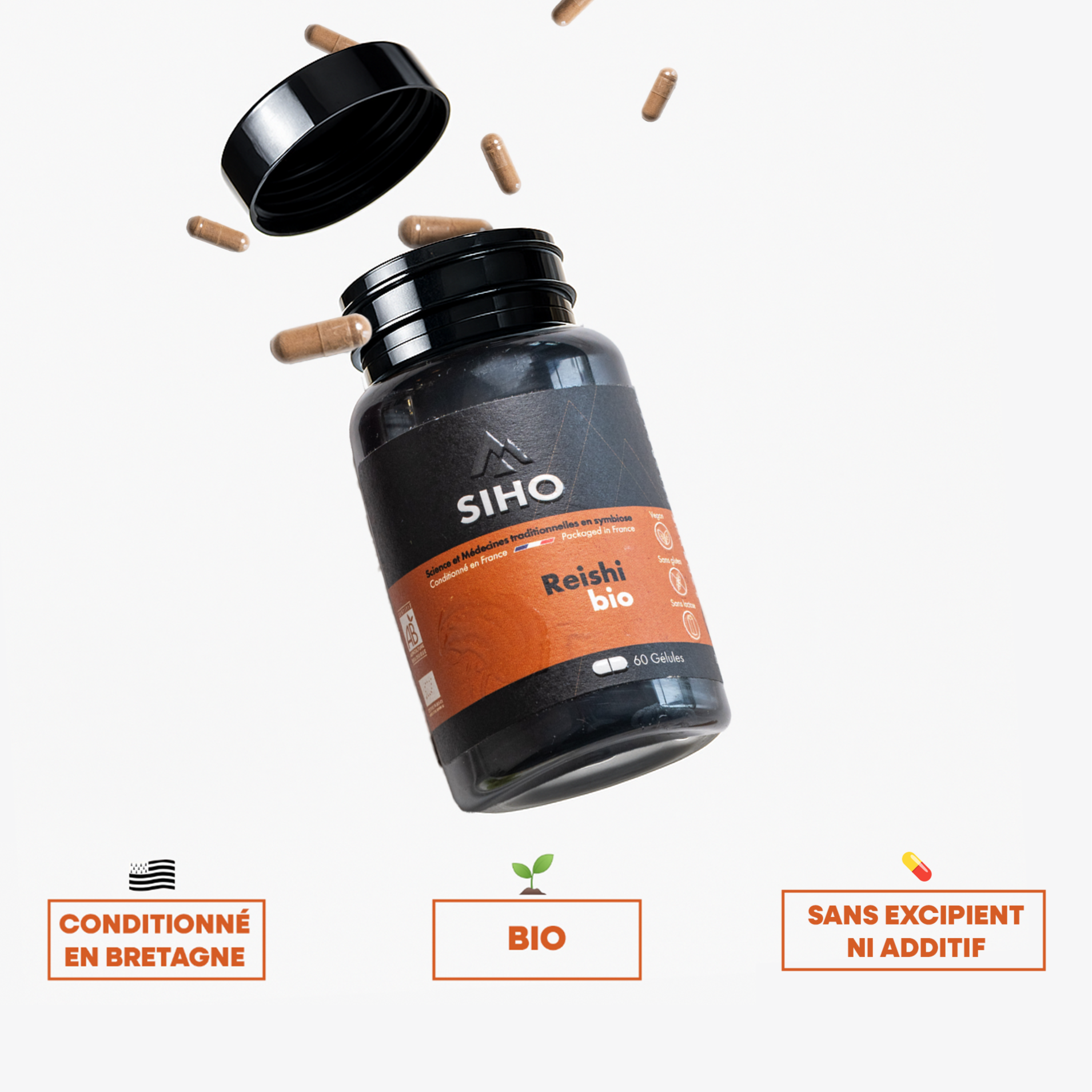 Reishi extrait bio