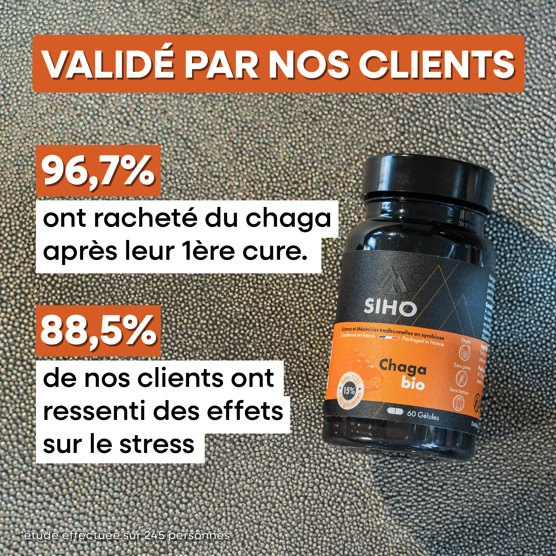 Chaga, extrait bio hautement dosé