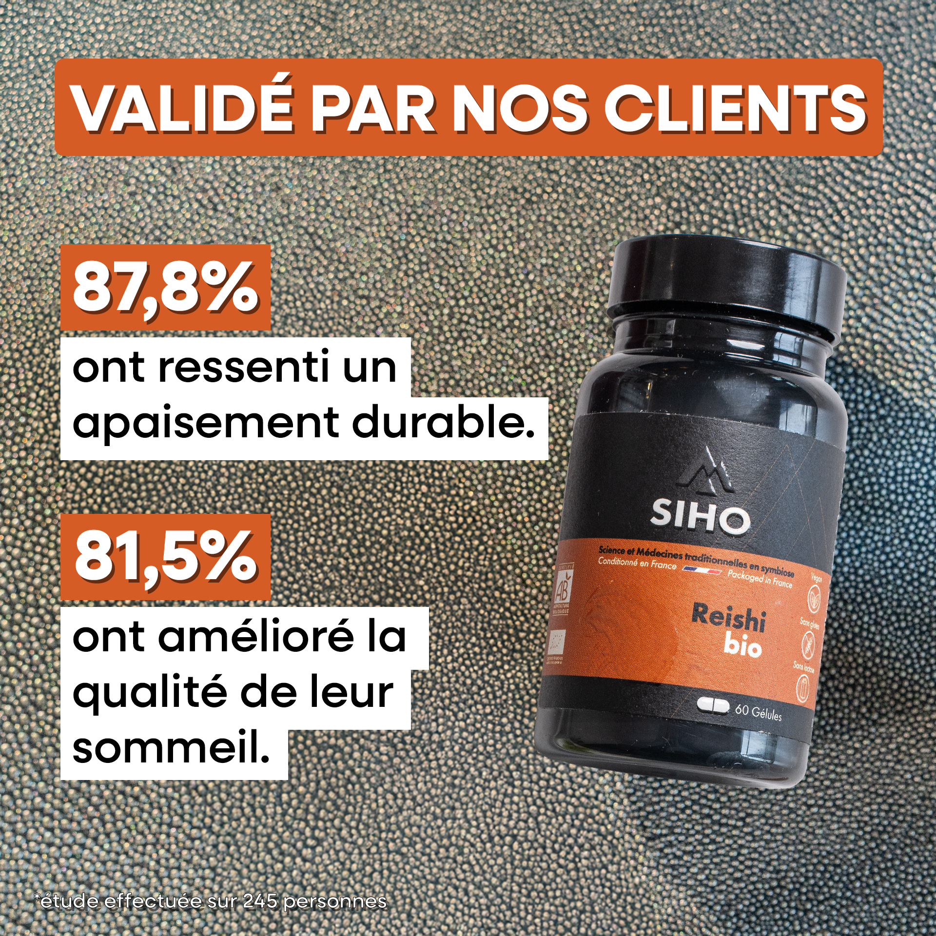 Reishi extrait bio