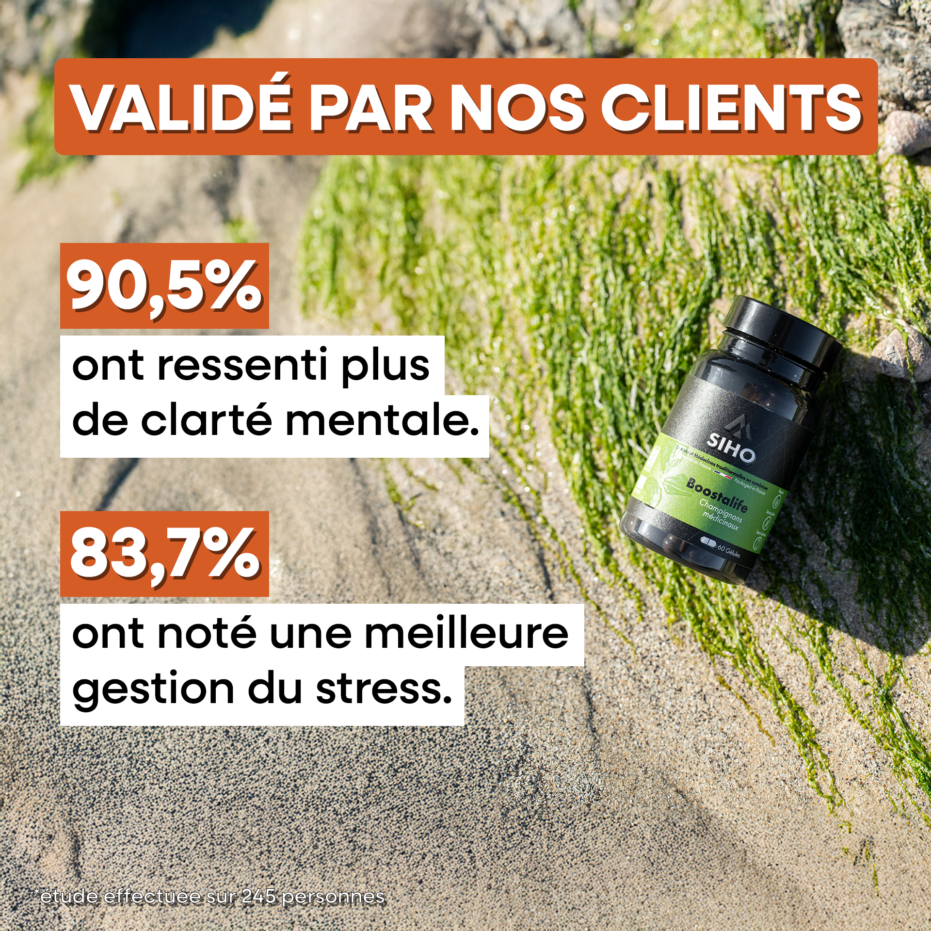 Boostalife, extrait bio de 3 champignons: reishi, chaga et héricium