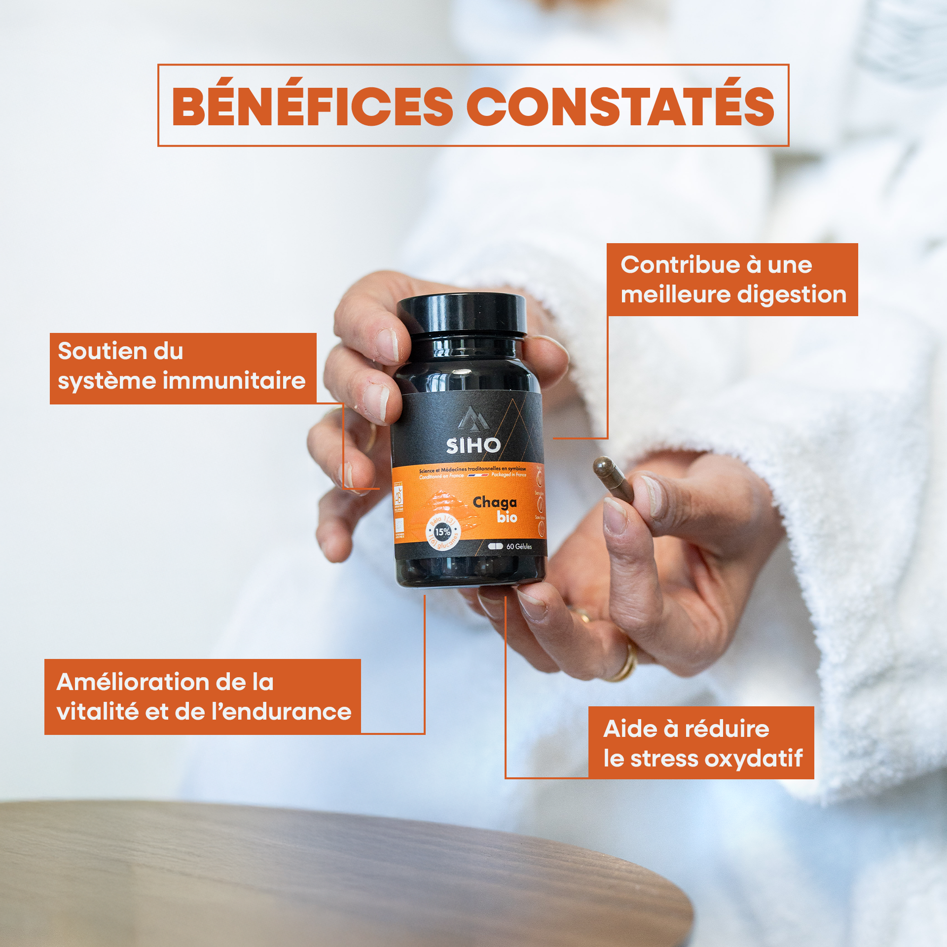 Chaga, extrait bio hautement dosé