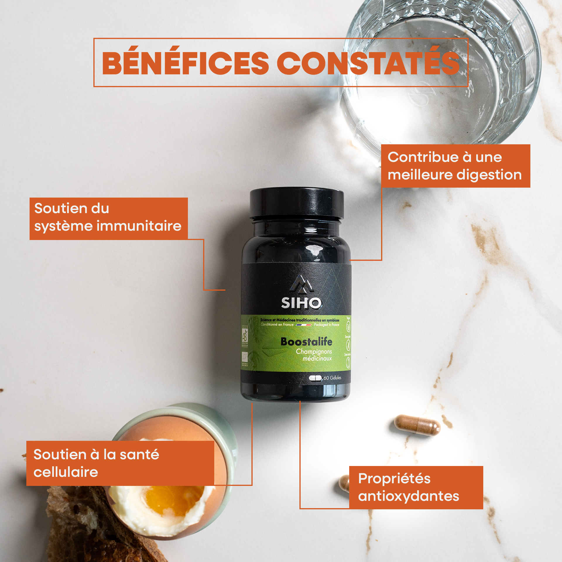 Boostalife, extrait bio de 3 champignons: reishi, chaga et héricium