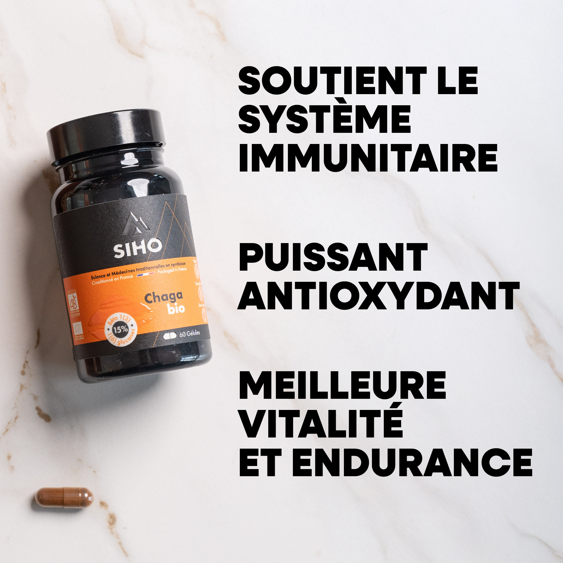 Chaga, extrait bio hautement dosé