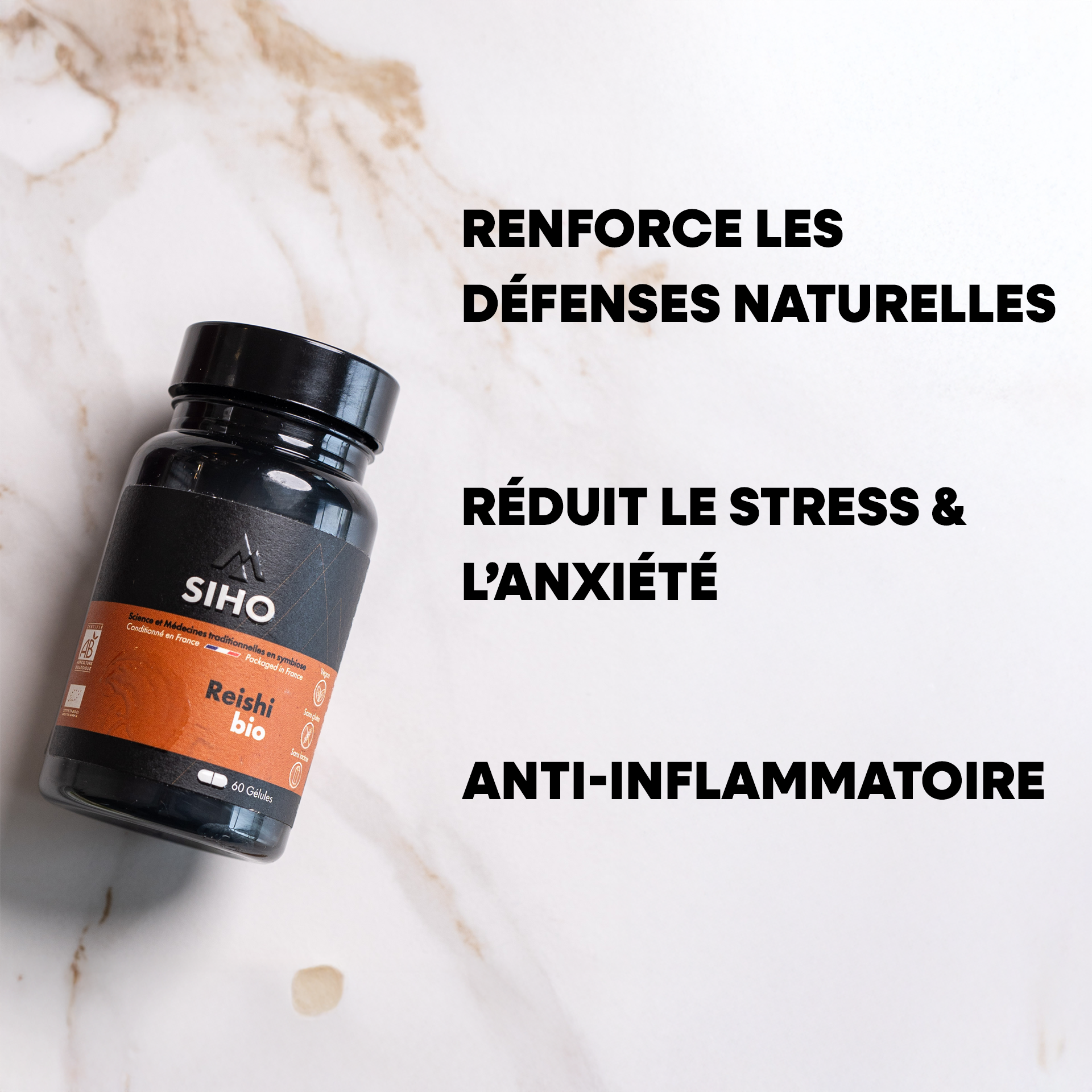 Reishi extrait bio