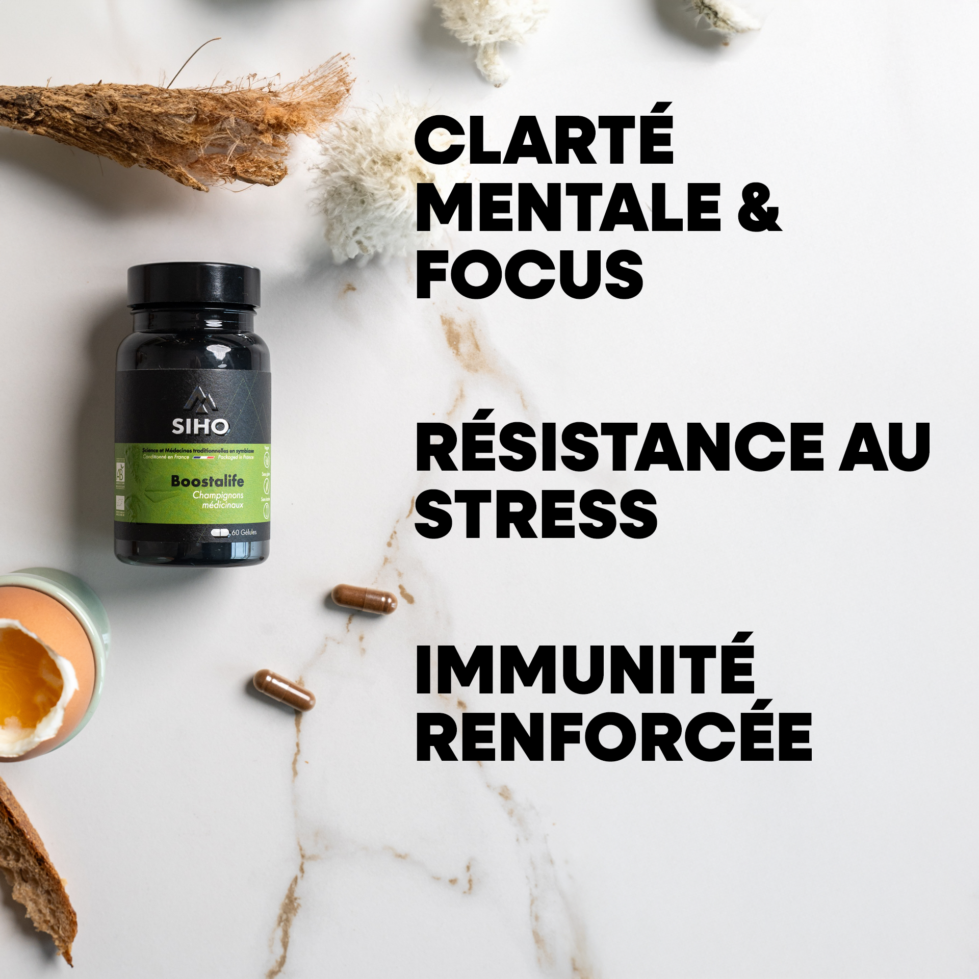 Boostalife, extrait bio de 3 champignons: reishi, chaga et héricium