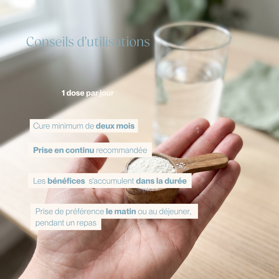 Conseils d'utilisation Glycine-NAC : 1 dose par jour dans un verre d'eau, cure de 2 mois, prise en continu