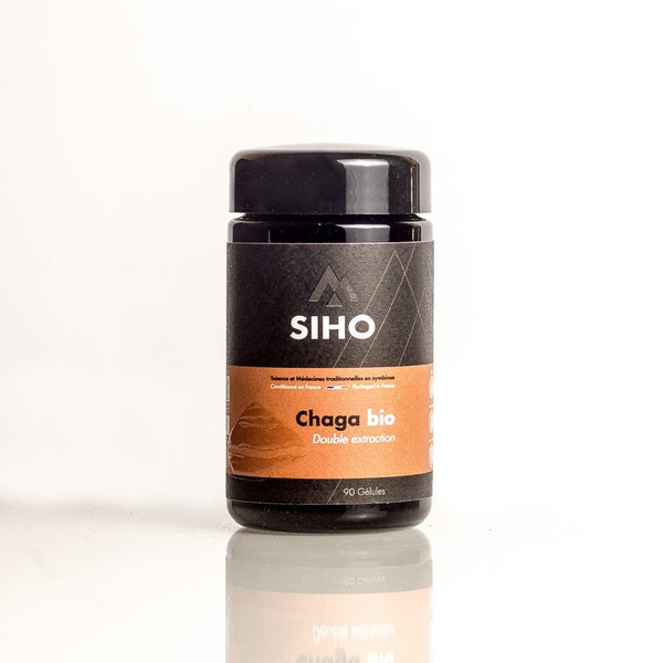chaga, extract in capsules